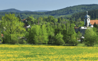 Ordinace Šluknov hledá lékaře/řku